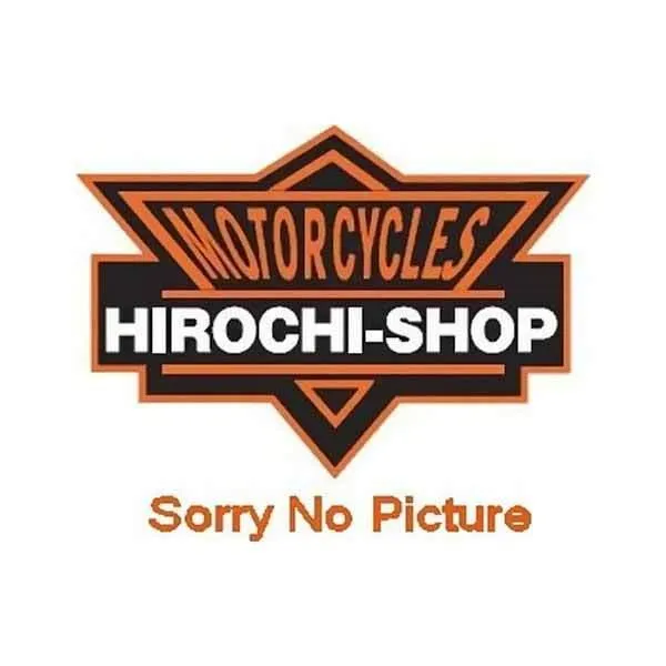 65079 プロテック PROTEC LEDヘッドライトバルブキット LB4HL-FU フュージョン HD店