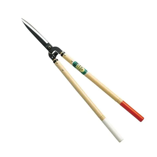 売れ筋  【MUVLGHA2451】 限定デザイン
