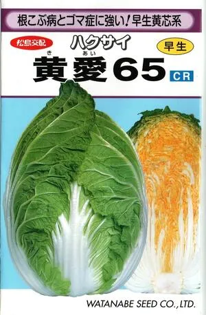 野菜種子 ハクサイ「黄愛65」0.9ml（約180粒）／5ml／10ml／20ml／1dl（渡辺採種場）【送料込み】 きあい65 キアイ65 白菜 はくさい 高秀品率 早生 根こぶ病・ゴマ症抵抗性