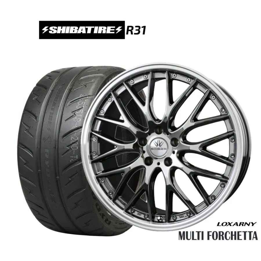 サマータイヤ ホイール4本セット BADX ロクサーニ マルチフォルケッタ SHIBATIRE シバタイヤ 200R (R31) 255/40R20