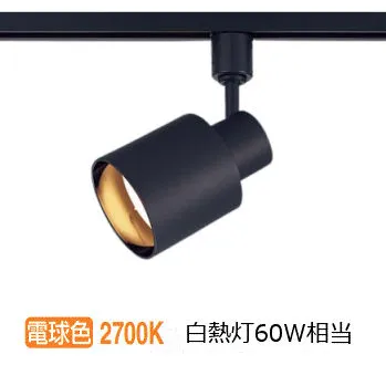 パナソニック ダクトレール用スポットライト XAS1513LCE1(LGS9503+LLD2000MLCE1)