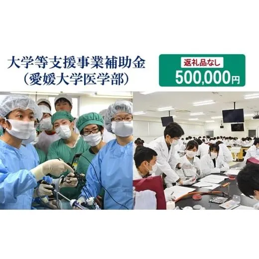 ふるさと納税 感謝状等 愛媛県 東温市  お礼の品なし 大学等支援事業補助金（愛媛大学医学部） 500,000円 No.5303-0277