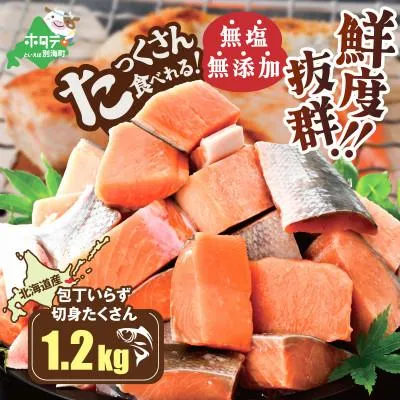 圧倒的人気 最短翌日お届け M9HOAKUIXQ8 [M9HOAKUIXQ8]