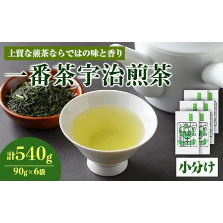 ふるさと納税 ＜先行予約！2026年5月中旬以降順次発送予定＞＜2026年産＞一番茶 宇治煎茶(計540g・90g×6袋) 特産品 水出し お茶 宇治茶 緑.. 京都府宇治市