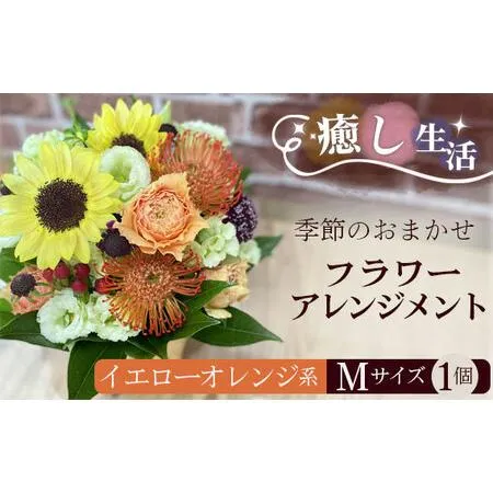 本日発送 MLNE10V49VV 型番:MLNE10V49VV