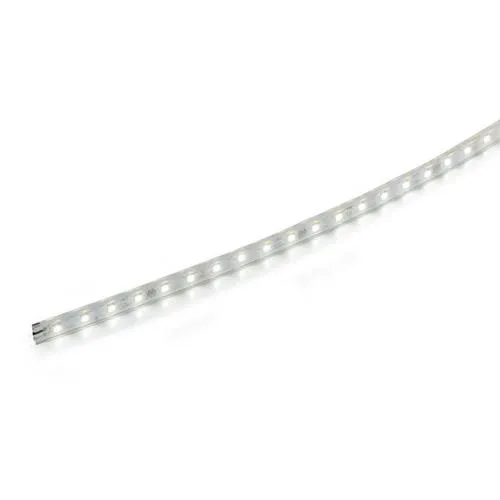 ルーチ LEDテープライト ルーチ・パワーフレックス 特注品 20mmピッチ DC24V 2520mm (電源トランス・コード別売) LFP20-T-2520 ※受注生産品