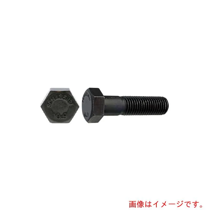 サンコーインダストリー（SUNCO） ダクロ １０．９ 六角ボルト ＮＢＩ １２Ｘ７５Ｘ３０ （５０本入） 【品番：B0-00-B400-01200750-13】