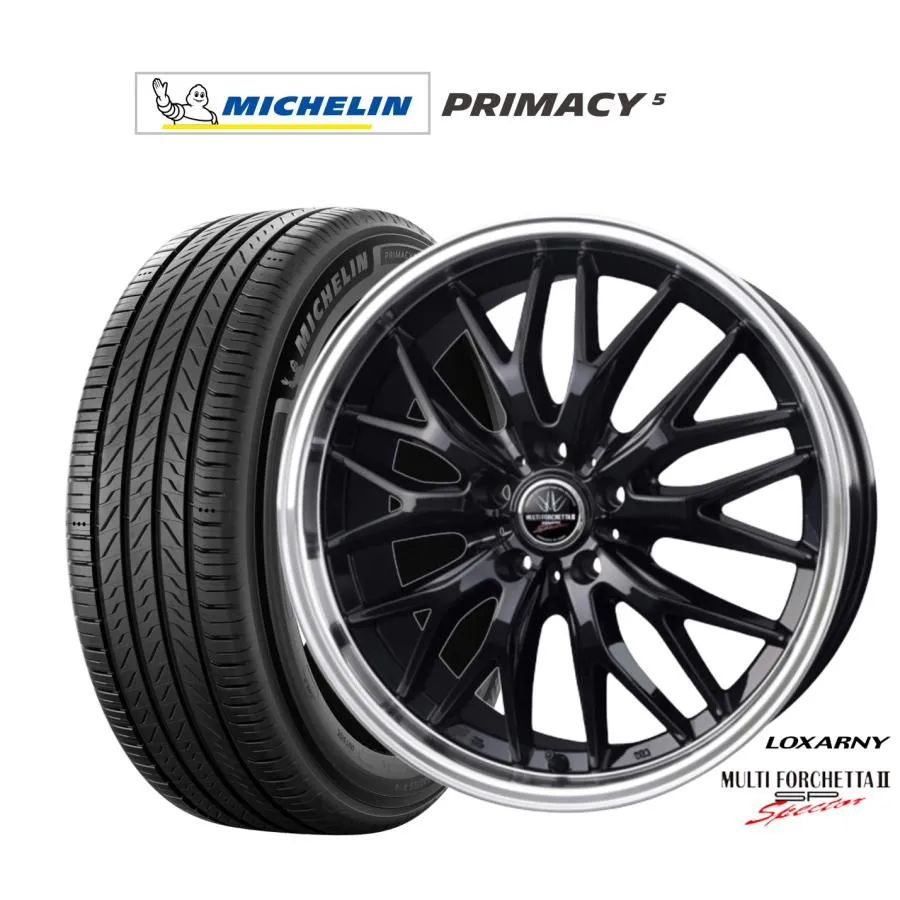 サマータイヤ ホイール4本セット BADX ロクサーニ マルチフォルケッタ２ SP-SPECTOR ミシュラン プライマシー プライマシー5 245/50R20
