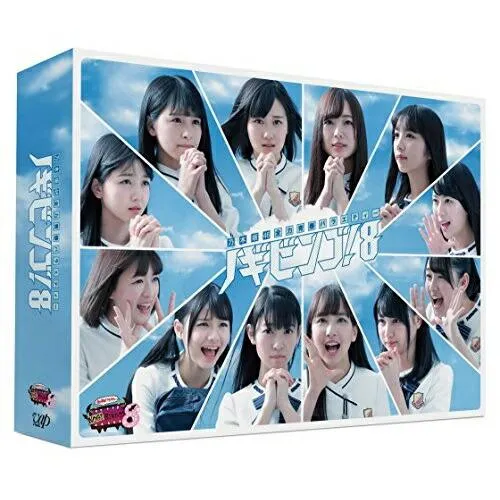 BD/趣味教養/NOGIBINGO!8 Blu-ray BOX(Blu-ray) (本編ディスク2枚+特典ディスク2枚)