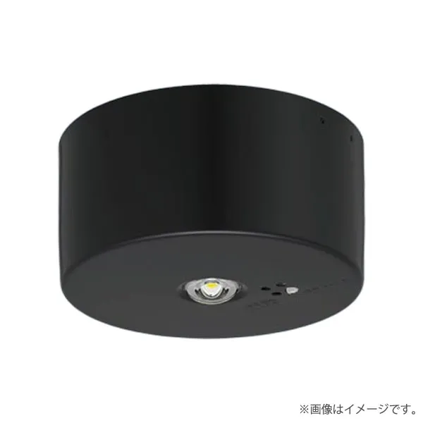 あす楽対応  【M1GY50HVCO0】 限定デザイン