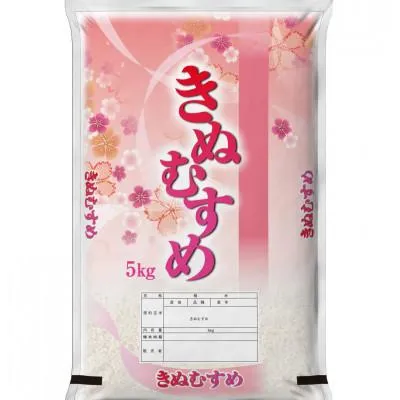 大人気 【即日発送】 M8QEAAY5PVW [M8QEAAY5PVW]