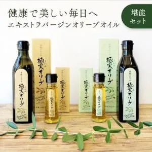 ふるさと納税 エキストラバージンオリーブオイル 堪能セット【SM8】 和歌山県九度山町