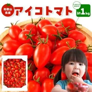 ふるさと納税 ［2026年5月出荷分］和歌山産ミニトマト「アイコトマト」約1kg（S・Mサイズおまかせ）［TM232］ 和歌山県和歌山市