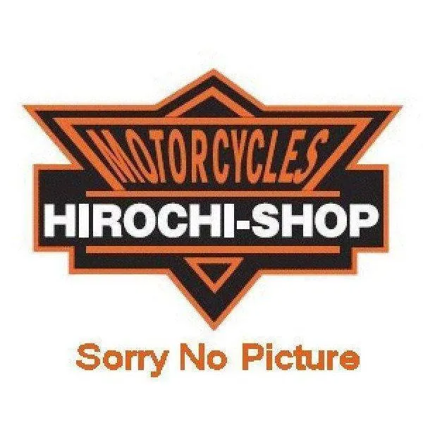 SY0115 エースウェル ACEWELL インナーチューブ 95年以降 NSR80、NSR50 チタンゴールド JP店