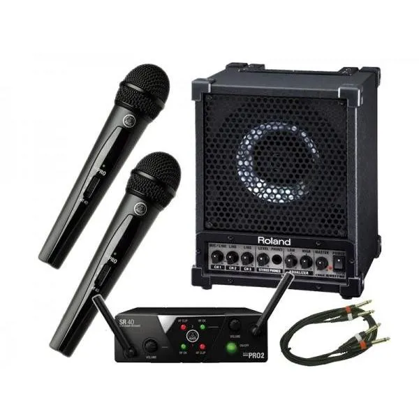 Roland(ローランド) CM-30 +AKGワイヤレスマイク2本セット ◆ ハンドヘルドワイヤレスマイク 2本の簡易PAセット