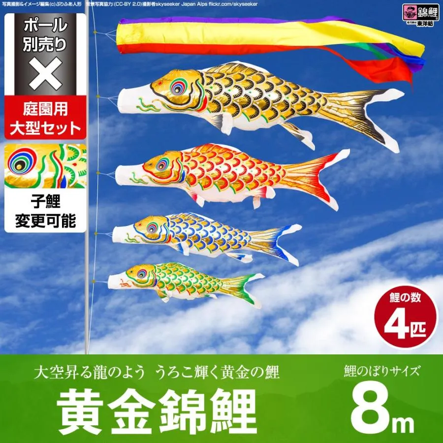 鯉のぼり 庭用 こいのぼり 錦鯉 黄金錦鯉 8m 7点セット 庭園 大型セット ポール 別売
