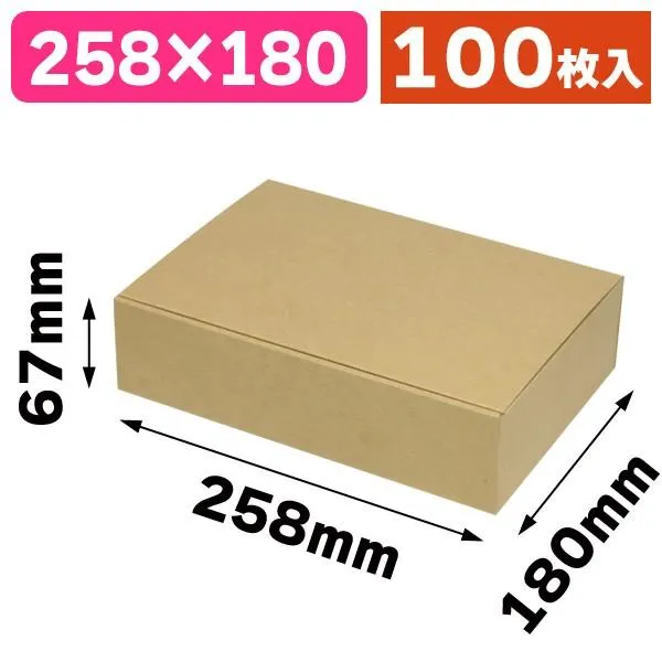 宅配用ギフトボックス（両面クラフト）/100枚入（EE-585）
