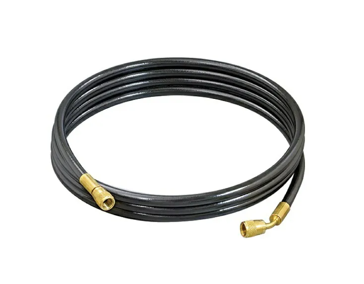 【直送品】 アサダ チッソ用ホース 20m XP425 《オプション》