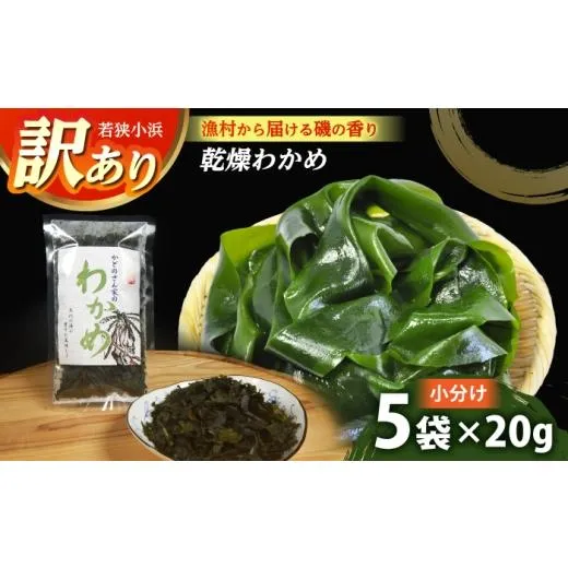 ふるさと納税 のり・海藻 わかめ 福井県 小浜市  訳あり 天然・養殖 漁師が育てた 乾燥わかめ 5袋 小浜市 ／ 釣り船・民宿かどの BFBG006