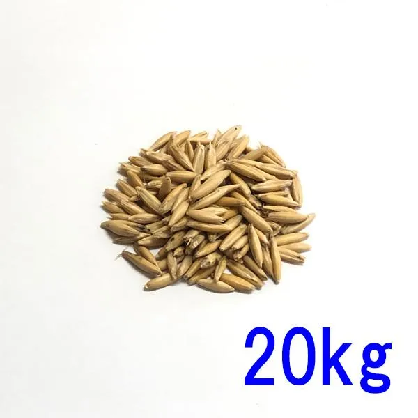種子 えん麦(オーツヘイ) 殻つき 20kg
