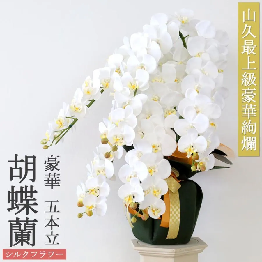  【MFYEHBO6BWF】 限定デザイン