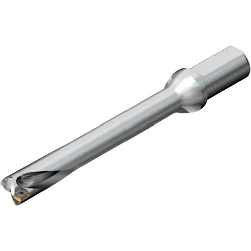 【期間限定!対象商品P2～20倍】 ＳＡＮＤＶＩＫ コロドリルＤＳ２０刃先交換式ドリル（４６５） 1本 (DS20D3900L4007)