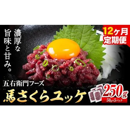 ふるさと納税 馬肉 馬さくらユッケ 50g × 5パック 3kg 12ヶ月定期便 五右衛門フーズ 《お申込み月の翌月から出荷開始》 熊本県 球磨郡 山江.. 熊本県山江村