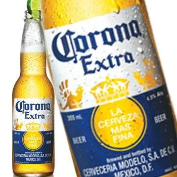 コロナ ビール エキストラ瓶 330ml 24本入り 2ケース 計48本 送料無料 北海道 沖縄は送料1000円 クール便は800円加算