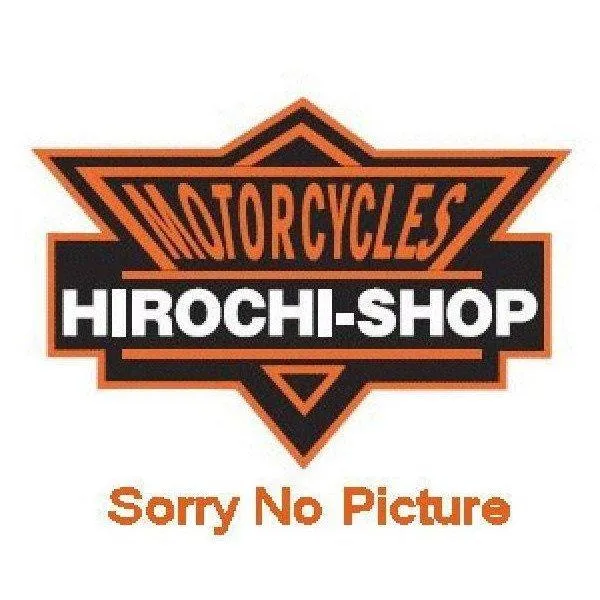 81-1293 ピーエムシー PMC フィルムグラフィックセット Z1-R2 黒 HD店