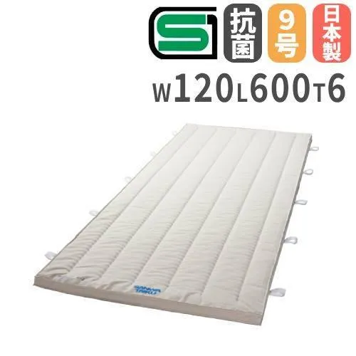 法人限定  体操マット 6cm厚 9号帆布 抗菌 120×600×6cm SGマーク付 運動マット 体育マット ミラスポンジ コンビマット 跳び箱 学校 体育 日本製 S-9748