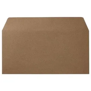 （まとめ） 寿堂 カラー横型封筒 110×220mm 127.9g／m2 テープのり付 〒枠なし カフェモカ 10354 1パック（10枚） 【×15セット】 便利なカラー封筒 テープのり付きで手軽に封をすることができます 110×220mmのサイズで、しっかりとした紙製品 カフェモカカラーでスタイ