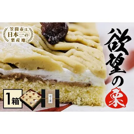 リピート多数 最短翌日お届け MEXPBNVIGVL [MEXPBNVIGVL]