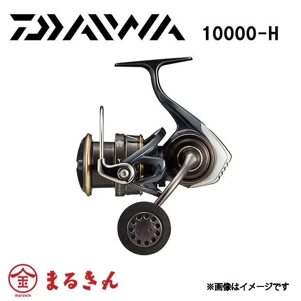 22カルディア SW 10000-H ジギング 青物