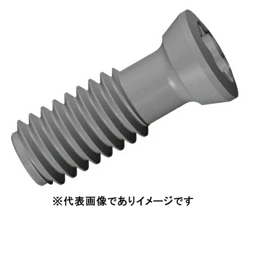 イスカル SR 10503579 部品 スクリュー 10個入