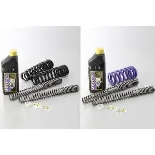HYPERPRO ハイパープロ コンビキット(フロントスプリング\u0026リアスプリング) HYPERMOTARD 821 939 DUCATI ドゥカティ フロント・リアスプリングキット 足回り
