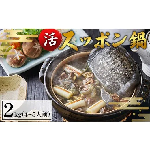 本日発送  【MLIOW09D0W5】 限定デザイン