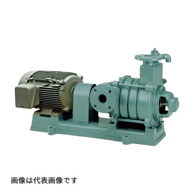 ●寺田 テラダポンプ 【MFS5-53.72E】自吸式 多段ポンプ MFS形(4極) グランドパッキン式 モーター付 50Hz 口径65mm 出力3.7kW 受注生産〔FJ〕