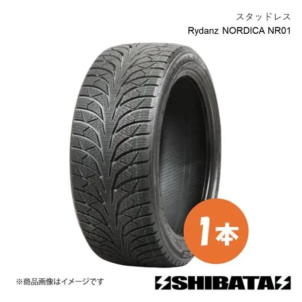 225/60R18 スタッドレス タイヤ単品 1本 SHIBATIRE シバタイヤ Rydanz NORDICA NR01 225 60 18 S029
