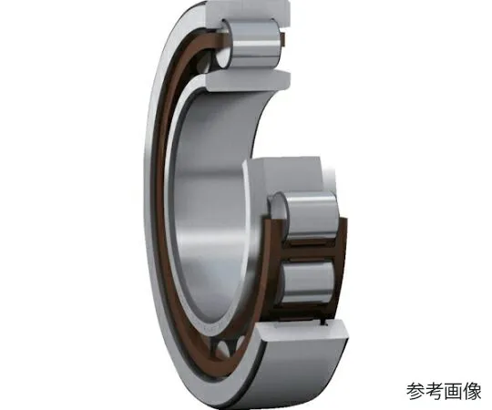 日本エスケイエフ 単列円筒ころ軸受 NU型 内径120mmX外径215mmX幅40mm NU 224 ECP 1個