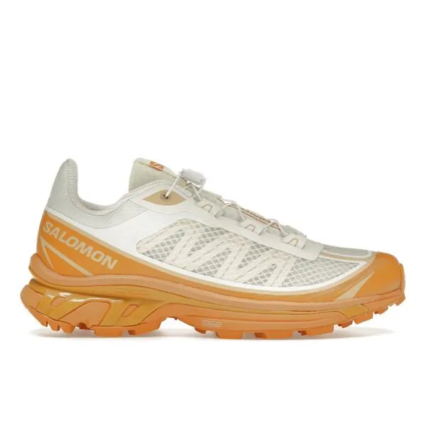 Salomon サロモン メンズ - スニーカー Salomon XT-6 FT Vanilla Ice Hazelnut 【US_M_4.5 】