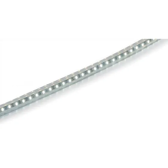 ルーチ LEDテープライト ルーチ・フラットフレックスF 特注品 10mmピッチ DC24V 2625.0mm (電源トランス・コード別売) LFTF10-T-2625 ※受注生産品