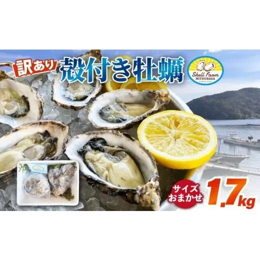 [大人気 最短翌日お届け ] MT4TSXIGOON (MT4TSXIGOON)
