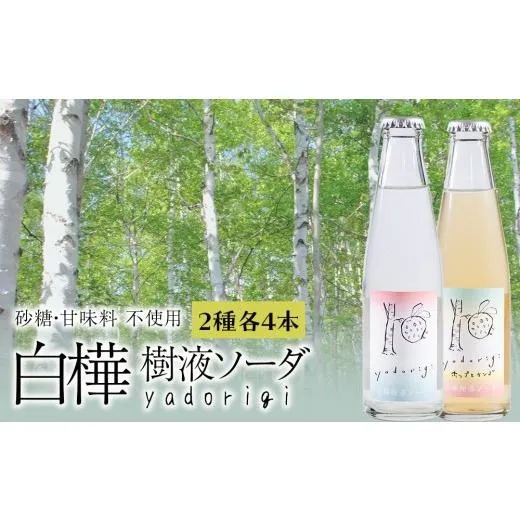 売れ筋 【即日発送】  【MN0OMRIZN7Y】 限定デザイン
