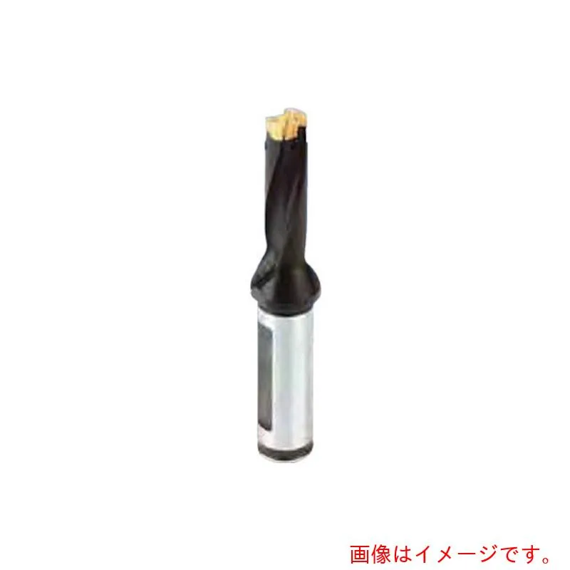 イスカルジャパン カムドリル ヘッド交換式ドリルホルダ ＤＣＭ－３Ｄ 【品番：DCM 170-051-20A-3D】