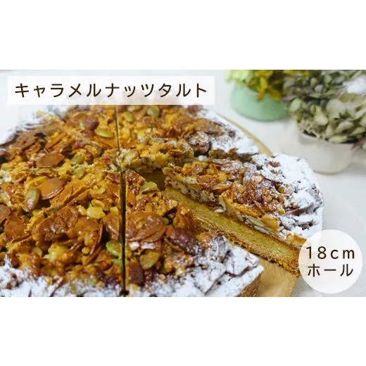 大人気 最短翌日お届け M55P5X3DZOV [M55P5X3DZOV]