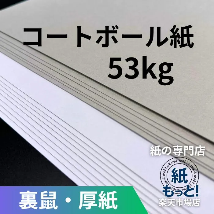 コートボール L判 53kg (厚さ約0.75mm) 【紙もっと！】 片面白 裏グレー 板紙 ボール紙 厚紙 工作 掲示物 台紙 パッケージ 什器 発送用 補強材 折れ防止 カルトナージュ 建築模型 お面 ペーパークラフト 油性ペン対応 国産 高品質
