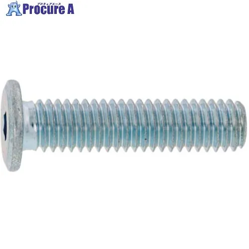 SUNCO 三価ホワイト 極薄・NSローヘッド 3×5 (1000本入) A0-00-L300-0030-0050-03 1箱 ■▼243-6093 【送料都度見積】