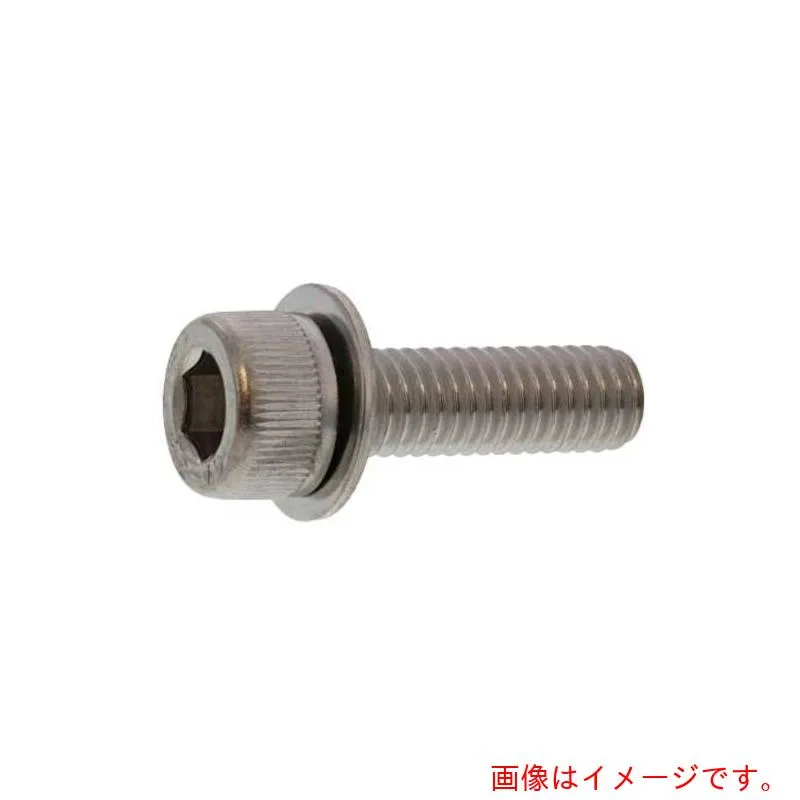 サンコーインダストリー（SUNCO） 三価ブラック １０．９ＣＡＰ Ｐ＝１ ４ Ｘ ８ （１０００本入） 【品番：A0-00-9010-00400080-04】
