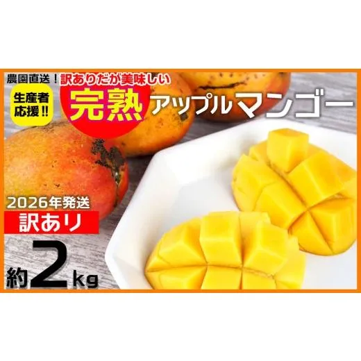 ふるさと納税 マンゴー 沖縄県 大宜味村  2026年発送 生産者応援 訳ありだが美味しい完熟アップルマンゴー約2kg 農園直送 訳アリ 先行予約 沖縄 甘味 糖度 濃…
