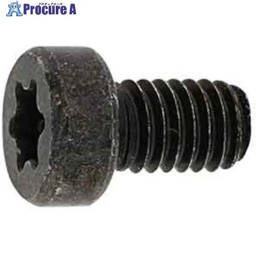 SUNCO 三価ブラック TR×ローヘッドCAP インタトルク 2.5×4 (5000本入) A0-00-LTIN-0025-0040-04 1箱 ■▼243-5032 【送料都度見積】